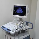 Lisova Pisnia 트루스카베츠