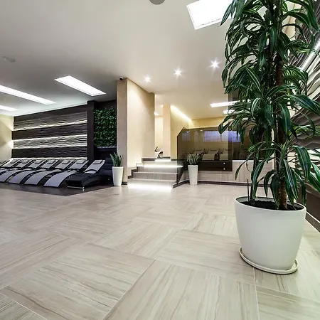 Lisova Pisnia Resort