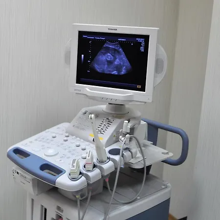 Lisova Pisnia Truskavets