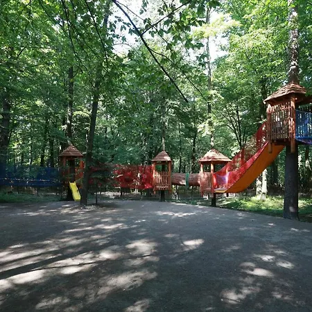 Lisova Pisnia Truskavets